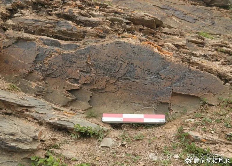 » 7、青海“秦始皇遣使采药昆仑石刻”产生真假争议 6月8日以来，一则关于“青海黄河源发现秦始皇遣使‘采药昆仑’石刻”的消息，引发业界热议