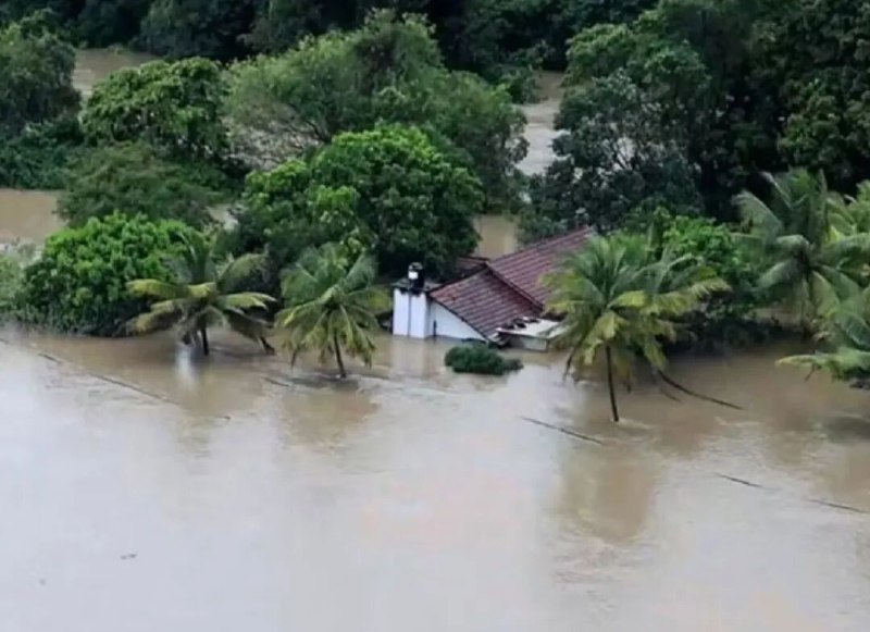 » 5、印尼洪灾山体滑坡已致659人遇难，另有475人失踪当地时间12月2日，印尼抗灾署公布的最新数据显示，苏门答腊岛因洪灾和山体滑坡灾害遇难人数达到659人