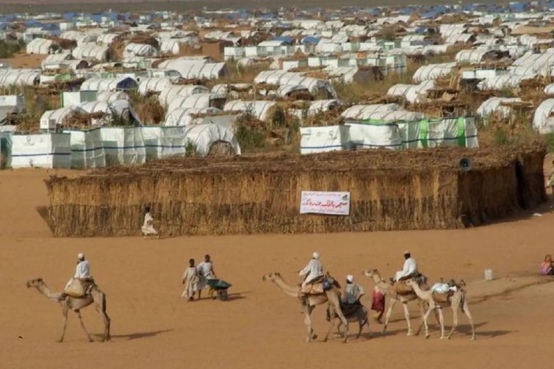 » 7、苏丹西部一难民营遭炮击 至少150人伤亡当地时间4月10日，苏丹北达尔富尔州卫生部长易卜拉欣·哈提尔表示，苏丹快速支援部队当天向该州首府法希尔市以北的阿布舒克难民营实施炮击，造成至少150名平民伤亡