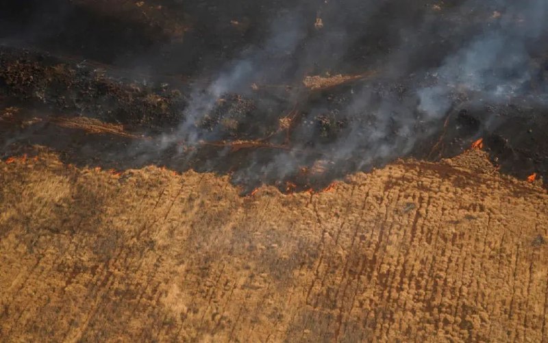 » 15、夏威夷毛伊岛山火失控已53人遇难，美发布临时飞行限制据美国夏威夷州毛伊县官方8月10日发布消息说，野火仍在快速蔓延，造成的遇难人数已经升至53人
