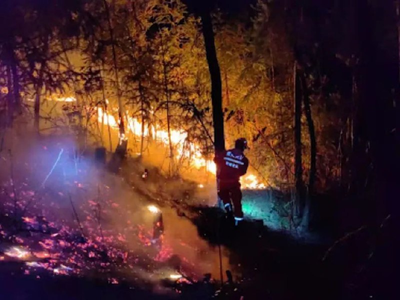» 3、贵州全省爆发山火 221起火灾均已扑灭据贵州省森林草原防灭火应急指挥部最新通报：2024年2月10日至21日，全省共发生森林火情221起，目前已全部扑灭