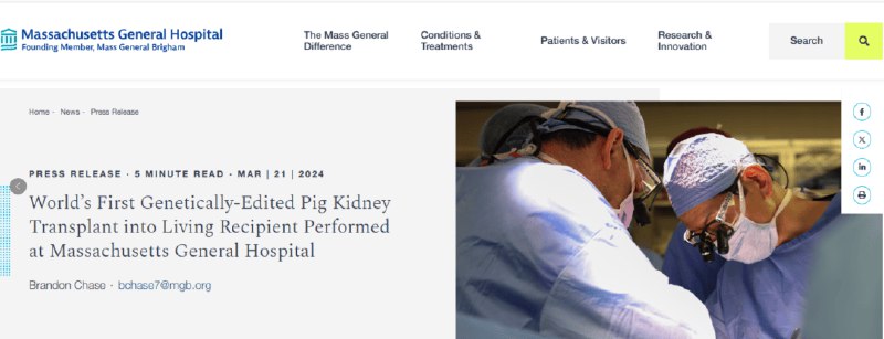 » 4. 美国62岁男子移植转基因猪肾 已成功产生尿液美国马萨诸塞综合医院21日发布消息称，该院医学专家已成功为一名美国男性终末期肾病患者进行了一项特殊的移植手术，将经基因编辑的猪肾脏移植入其体内