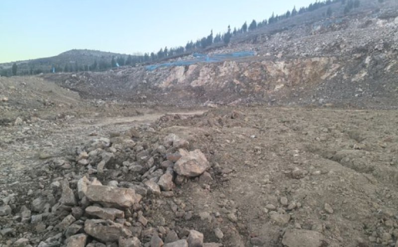 » 6、 养牛场两年多未见一头牛，以平整土地名义卖矿石“至今没建一间牛舍，没养一头牛