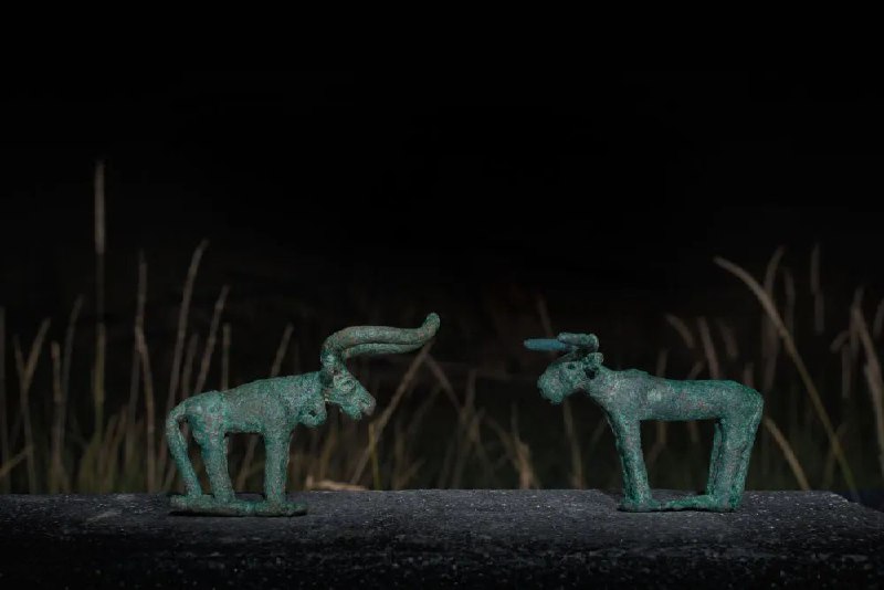 » 17. 青海夏尔雅玛可布遗址发现3228座先秦墓葬记者8月28日从青海省文物考古研究院获悉，夏尔雅玛可布遗址考古发掘取得新进展，联合考古队通过考古调查、勘探和发掘，发现该遗址三片墓地共有3228座墓葬