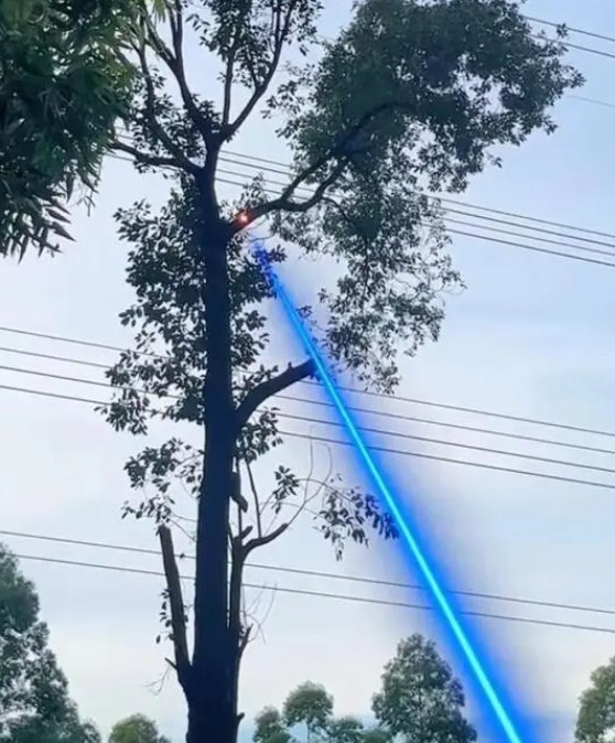 » 15. 四川一电力局用激光炮修剪树枝近日，一段“电力局用激光炮修剪树枝”的视频引发了网友们的关注