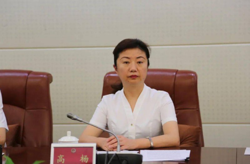 » 2、 贵阳市副市长高杨投案据贵州省纪委监委消息：贵州省贵阳市政府党组成员、副市长高杨涉嫌严重违纪违法，主动投案，目前正接受贵州省纪委监委纪律审查和监察调查