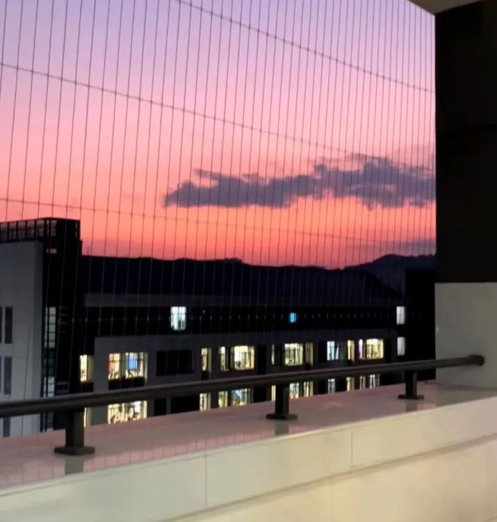 » 1、教育部、消防部门要求拆除校园铁丝网曾经为防学生坠楼加装这是一场异常沉默的会议