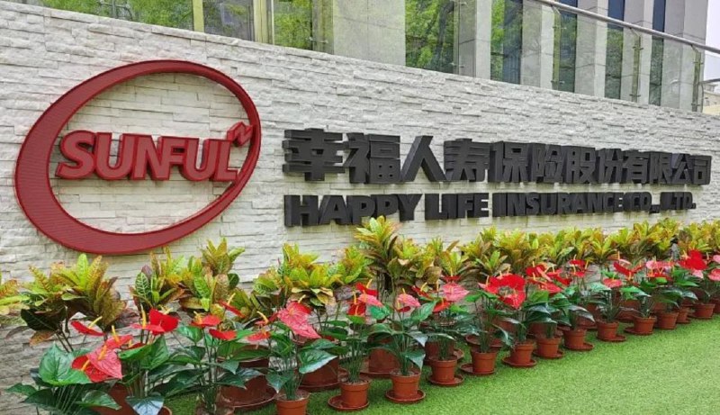 » 2、多家评级机构下调幸福人寿主体信用评级6月28日，联合资信、中债资信等信用评级公司发布的幸福人寿保险股份有限公司相关跟踪评级报告显示，均下调幸福人寿公司的主体信用等级