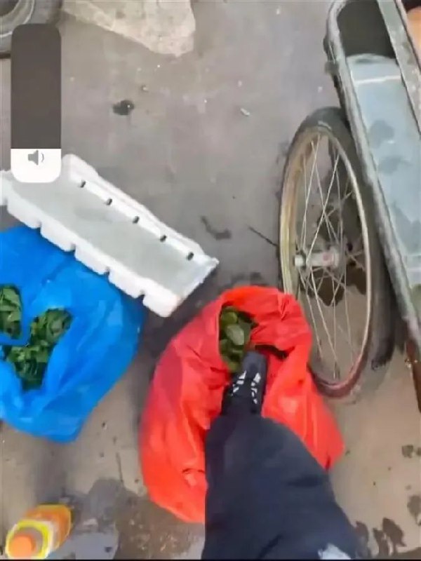 » 8. 浙江湖州疑似执法人员踩踏蔬菜、拍视频辱骂摊贩网传多段视频显示，1月1日，有名为孙奥的用户在群聊中发布多段视频，视频中有人用脚踩了多名卖菜老人摆在地上卖的蔬菜