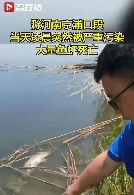 » 4. 滁州石化公司火灾  污染长江支流制造大面积死鱼近日，有网友在社交平台中发布的视频显示，滁河南京浦口段突然被严重污染，水质散发恶臭，出现大量死鱼死虾