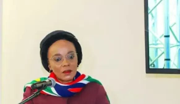 » 15. 南非交通部长高速路上被枪手抢劫南非交通部长辛迪西韦·奇孔加7日对议会一个委员会说，她于6日凌晨在约翰内斯堡以南一条高速公路上遭遇抢劫，在随行安保人员下车更换被扎破的轮胎时，劫匪打开车门用枪指着她的头并要求她下车