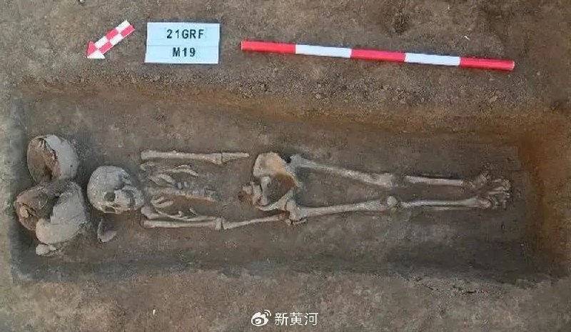 » 5、山东考古  DNA证实母系社会的存在6月5日，山东地区史前考古研究重大成果发布会在济南举行