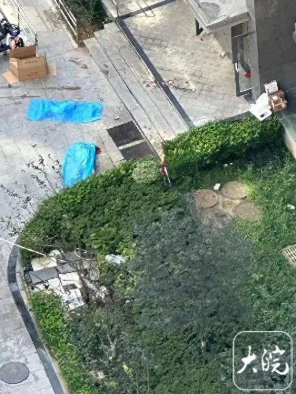 » 9. 青岛母子3人坠楼 疑因家庭矛盾9月15日，有网传消息称，青岛市山河城小区发生命案，疑因家庭矛盾导致悲剧发生，两名小孩和一名大人坠楼