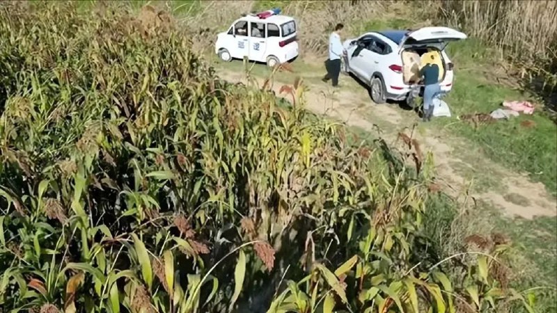 » 8. 河南固始县执法人员偷盗红高粱：白天刚辟谣 晚上又承认10月22日，网友发布视频称，河南信阳固始县三河尖镇，有执法人员带人偷红高粱，并被无人机拍下