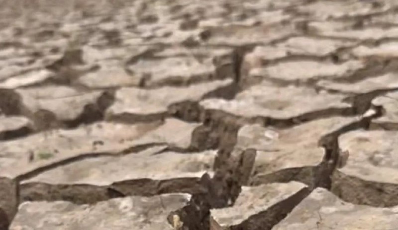 » 3、6个月不下雨 广西大旱“从去年10月到现在还没有真正下过一场雨