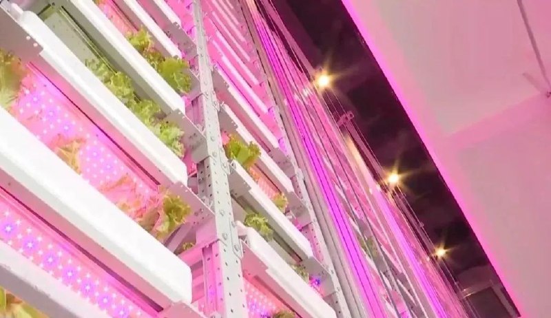» 4. 农科院在成都建成20层室内植物工厂近日在四川成都，由中国农业科学院都市农业研究所自主研发的首座无人化垂直植物工厂投入使用