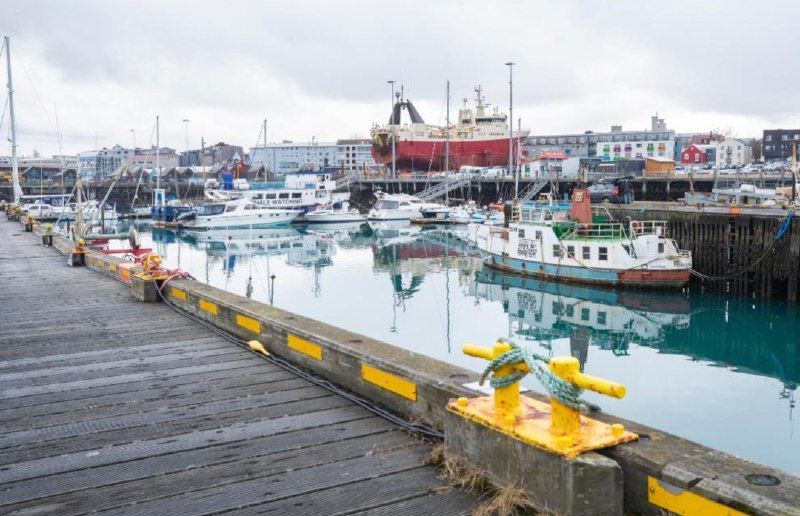 » 6、首次在冰岛自然环境中发现蚊子冰岛曾是世界上少数没有在自然环境中发现过蚊子的国家之一，如今这一记录被打破