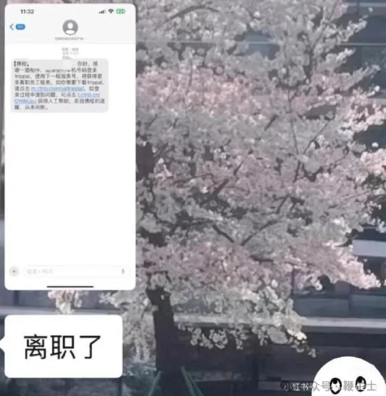 » 11、携程误发全员离职通知“这世界是个巨大的草台班子”的含金量又上升了