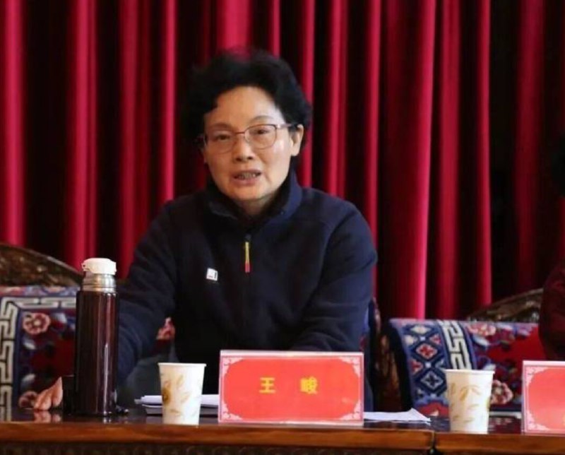 » 4、 西藏国土厅前厅长王峻倒台2025年12月24日，据中央纪委国家监委网站消息，西藏自治区人大常委会党组副书记、副主任王峻涉嫌严重违纪违法，目前正接受中央纪委国家监委纪律审查和监察调查