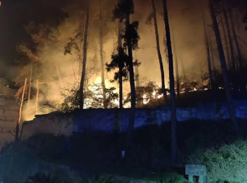 » 3、贵州全省爆发山火 221起火灾均已扑灭据贵州省森林草原防灭火应急指挥部最新通报：2024年2月10日至21日，全省共发生森林火情221起，目前已全部扑灭