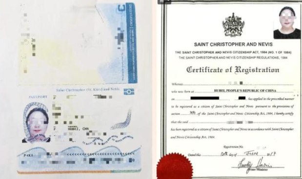 » 7.蓝天格锐非法集资案幕后老板从中国卷款63亿美元潜逃英国3月18日，英国法院判42岁的华裔英国女子简雯参与洗黑钱罪名成立，将于5月10日判刑