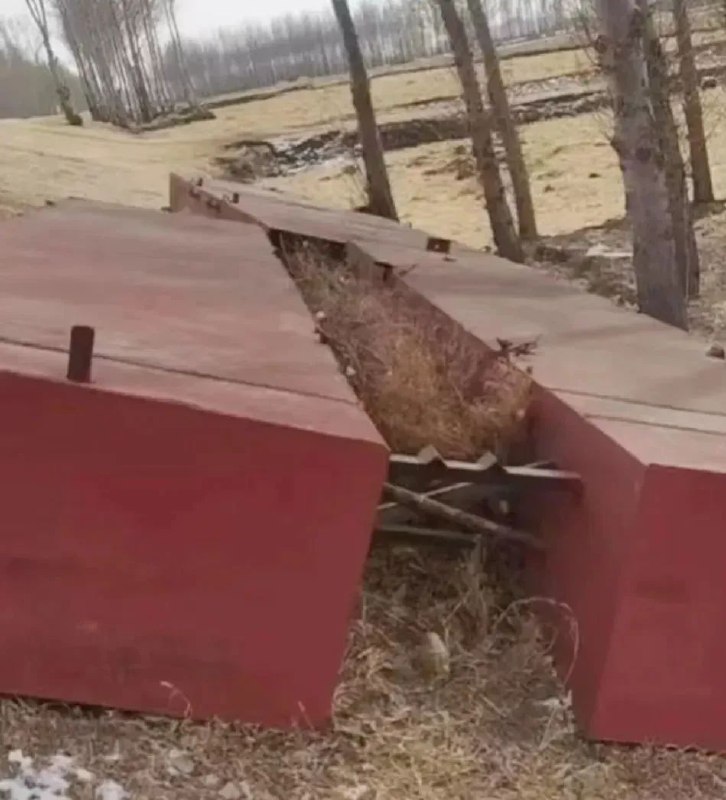 » 5. 吉林“浮桥案”新进展：原判适用法律有误，白城中院决定再审2023年7月，吉林省白城市洮南市瓦房镇振林村18位村民因私搭浮桥寻衅滋事被判刑一事受到公众关注