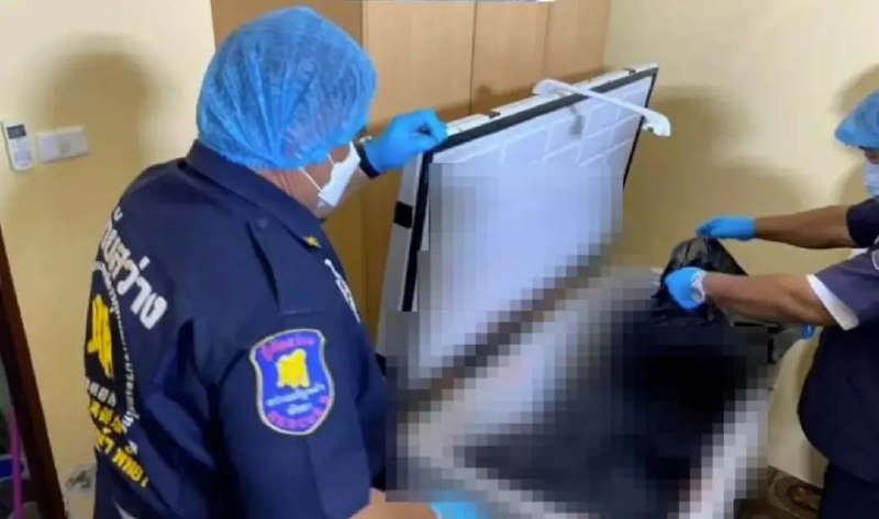 » 12. 德国地产富商残肢出现在泰国冰柜7月11日，泰国春武里府芭堤雅市农普鲁警察局表示，10日在该国南部一房屋的冰柜里，发现了失踪一周的62岁德国地产大亨汉斯·彼得·麦克（Hans Peter Mack）被肢解为13块的尸体