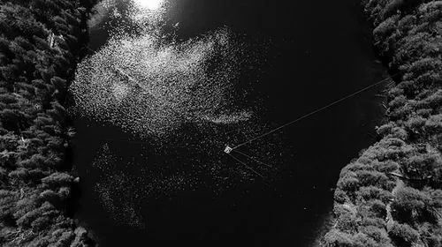 » 18、“人类世”金钉子确定在加拿大克劳福德湖7月11日，人类世工作组在法国里尔举行的地层学会议和德国柏林举行的新闻发布会上提名：人类世开始的官方标志是加拿大的克劳福德湖