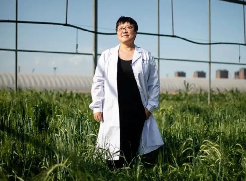 » 11、Nature发布2024年值得关注的七大技术，中国科学家成果首次入选1月22日，《自然》发布了2024年值得关注的七大技术——大片段DNA插入、人工智能设计蛋白质、脑机接口、 细胞图谱、超高分辨率显微成像、3D打印纳米材料和DeepFake检测