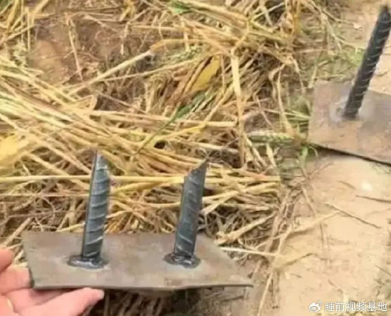 » 2、河北麦田被投放金属尖锐物致收割机刀片受损  6月5日22时许，针对“麦田里被人投放金属尖锐物”，河北省邯郸市临漳县公安局公开通报称，接警后，公安机关已立案，对恶意干扰夏收工作的违法犯罪行为零容忍