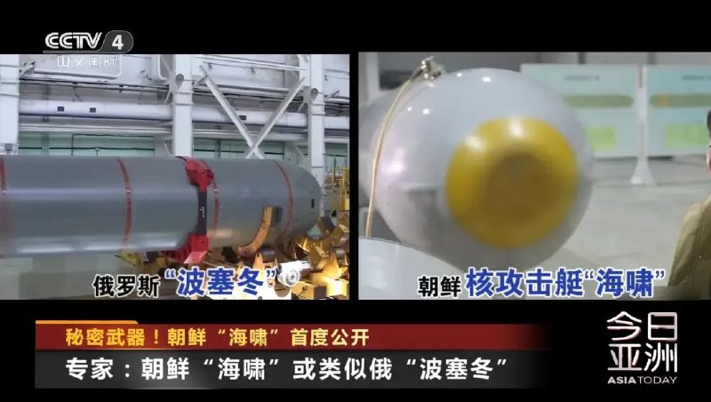 » 9. 朝鲜称进行水下核武器系统试验朝中社19日援引朝鲜国防省发言人的话称，朝鲜在东部水域对“海啸-5-23”水下核武器系统进行了试验，以回应韩国、美国和日本刚刚结束的一场联合海上军演