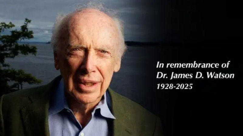 » 5、 发现DNA双螺旋结构的詹姆斯·沃森逝世，97岁当地时间11月6日，多家权威媒体报道称，詹姆斯·沃森（James D. Watson）去世，享年97岁