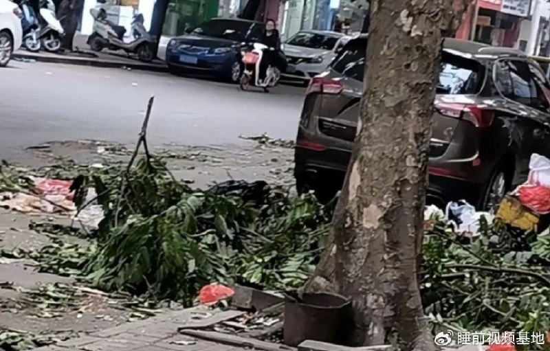 » 5、南宁某街道拖欠环卫工人工资 垃圾无人清运12月26日，有广西南宁的网友发布视频称：当地一条街道垃圾遍地，没有人清扫