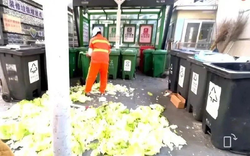 » 10、北京“新白菜剁碎凑厨余垃圾”是真的严肃处理责任人网传的垃圾分类桶站地点位于科煦社区保福寺平房区，由北京绿鑫城市环境管理有限公司负责日常管理和维护，涉事工作人员为该公司员工陈某